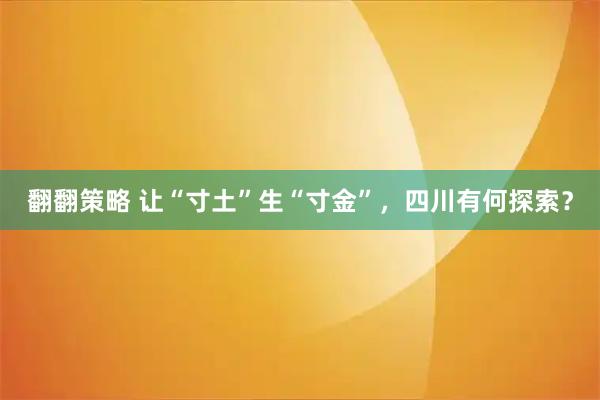 翻翻策略 让“寸土”生“寸金”，四川有何探索？